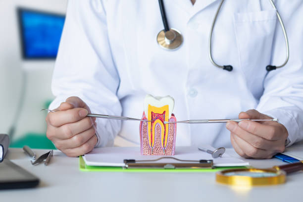 Best Tooth Pain Emergency Relief  in Merrimac, VA